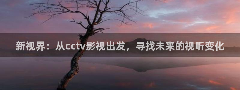 12金牌電影：新視界：從cctv影視出發，尋找未來的視聽變化