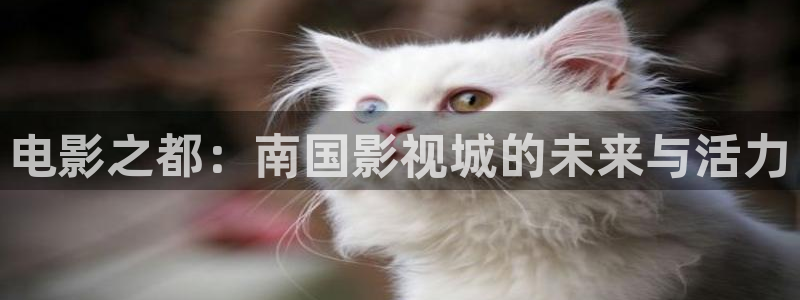 金牌影院ios怎么下載到手機：電影之都：南國影視城的未來與活力