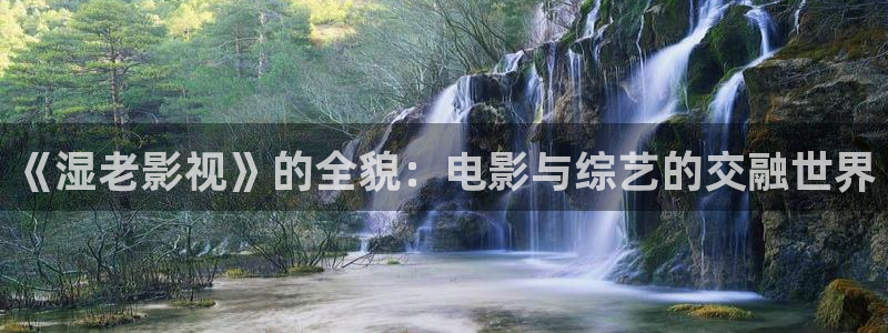 金牌影院電視劇免費播放：《濕老影視》的全貌：電影與綜藝的交融世界