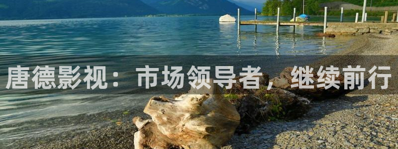 現在就出發第二季免費觀看完整版金牌影院：唐德影視：市場領導者，繼續前行