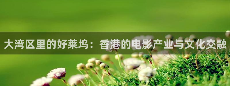 金牌影視電視劇在線觀看：大灣區里的好萊塢：香港的電影產業與文化交融