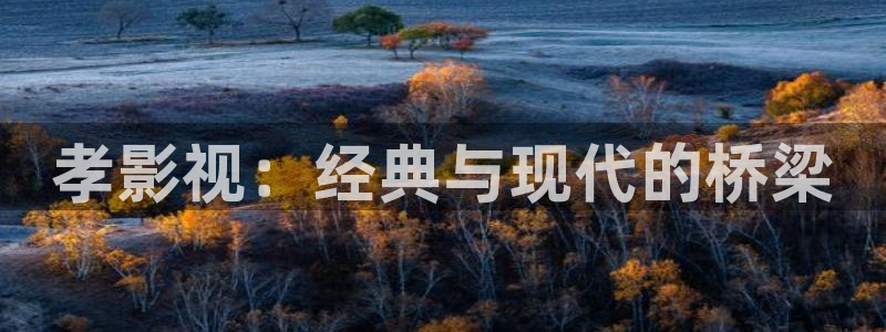 金牌影院在線觀看全集免費播放：孝影視：經典與現代的橋梁